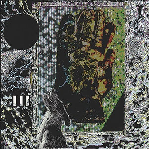THE DOG | TRASH TEMPLE