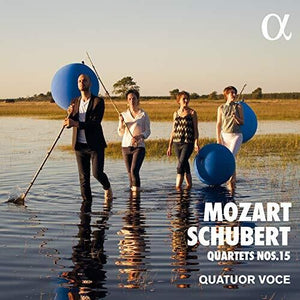 | QUARTETS 15