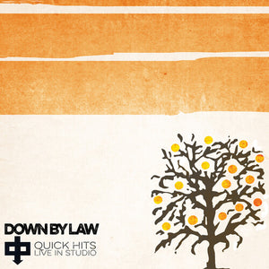 DOWN BY LAW | QUICK HITS LIVE IN STUDIO