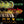 THE METERS | STRUTTIN