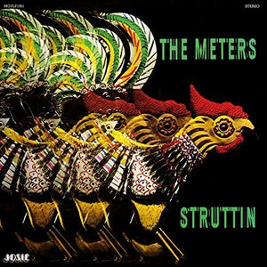 THE METERS | STRUTTIN