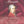 MOZART | MAGIC FLUTE