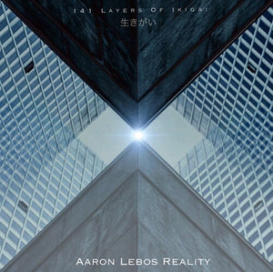 AARON LEBOS ( AARON LEBOS REALITY ) | 141 LAYERS OF IKIGAI