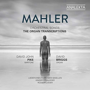 | ORCHESTRAL SONGS