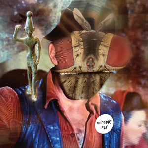 UNHAPPY FLY | UNHAPPY FLY