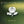 FLEETWOOD MAC | FLEETWOOD MAC GREATEST HITS - GREEN COVER - NZ / AU