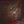 CANNIBAL CORPSE | RED BEFORE BLACK