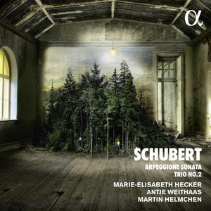 | PIANO TRIO IN E FLAT & ARPEGGIONE SONATA A MINOR