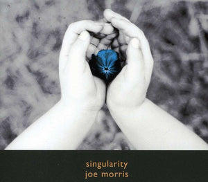 JOE MORRIS | SINGULARITY