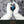 JOE MORRIS | SINGULARITY