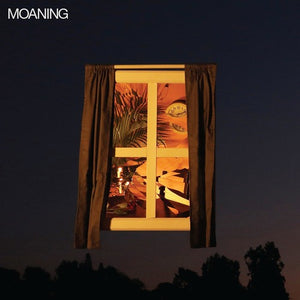 THE MOANING | MOANING