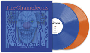 THE CHAMELEONS | WHY CALL IT ANYTHING
