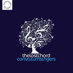 VARIOUS ARTISTS | LOST CHORD / VARIOUS