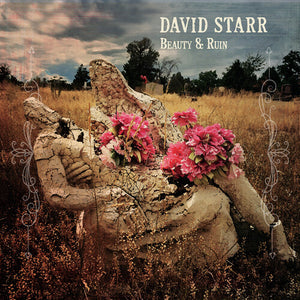 DAVID STARR | BEAUTY & RUIN