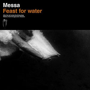 THE MESS | FEAST FOR WATER