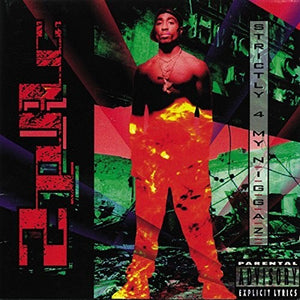 2PAC | STRICTLY 4 MY NIGGAZ