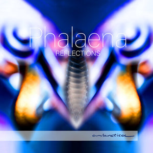 VARIOUS ARTISTS | REFLECTIONS / VARIOUS