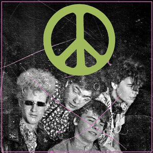 THE FLAMING LIPS | SCRATCHING THE DOOR:THE FIRST RECORDINGS