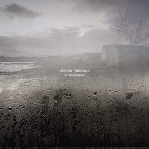 JOSHUA TRINIDAD | IN NOVEMBER