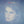 ALISON MOYET | RAINDANCING - NZ / AU