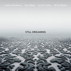 JOSHUA REDMAN | STILL DREAMING