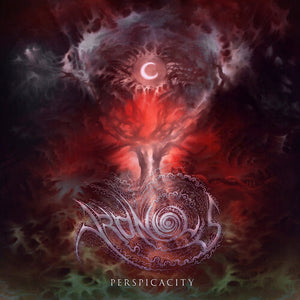 ARONIOUS | PERSPICACITY
