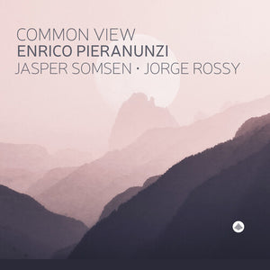 VARIOUS ARTISTS | COMMON VIEW / VARIOUS