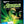 MOVIE FA | GREEN LANTERN FIRST FLIGHT (BLU - RAY)