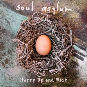 SOUL ASYLUM | HURRY UP AND WAIT(LTD 2LP+7" RSD)