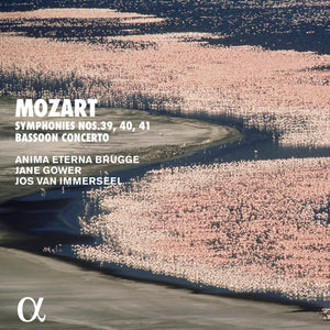 | BASSOON CONCERTO