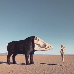 MAN MAN | DREAM HUNTING IN THE VALLEY OF THE IN-BETWEEN