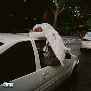 BLOOD ORANGE | NEGRO SWAN