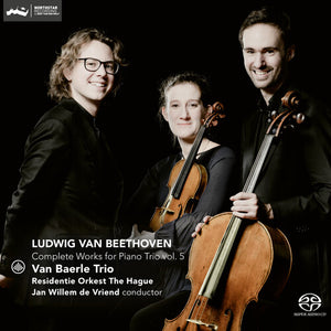 VAN BAERLE TRIO | COMPLETE WORKS PIANO TRIO 5
