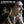 CAILLET | LIBERTALIA