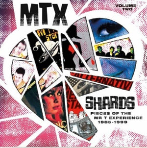 MR T EXPERIENCE | SHARDS VOL. 2