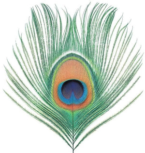 XTC | APPLE VENUS VOL 1