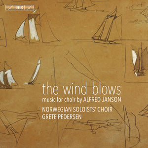 WIND BLOWS
