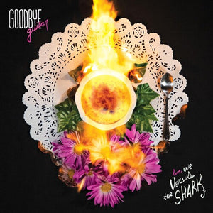 WE VERSUS THE SHARK | GOODBYE GUITAR