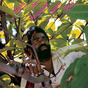 JUNIOR BYLES | RASTA NO PICKPOCKET VINYL