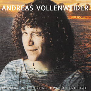 ANDREAS VOLLENWEIDER | BEHIND THE GARDENS - BEHIND THE WALL - UNDER