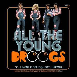 VARIOUS | ALL THE YOUNG DROOGS (3CD SET)