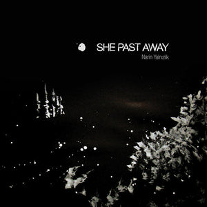 SHE PAST AWAY | NARIN YALNIZLIK