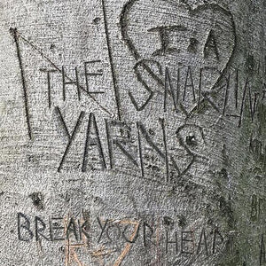 SNARLIN' YARNS | BREAK YOUR HEART
