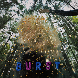 SNARLS | BURST