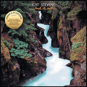 YUSUF (CAT STEVENS) | BACK TO EARTH