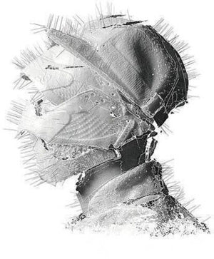 WOODKID | GOLDEN AGE