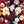 FREEDOM HIGHWAY^BOA | I BELIEVE (VERSION A)