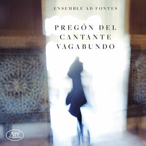 VARIOUS ARTISTS | PREGON DEL CANTANTE VAGABUNDO / VARIOUS