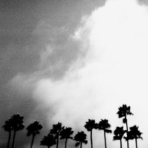 RICHARD ROSE | RADIATION BREEZE