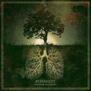 BOTANIST | PHOTOSYNTHESIS